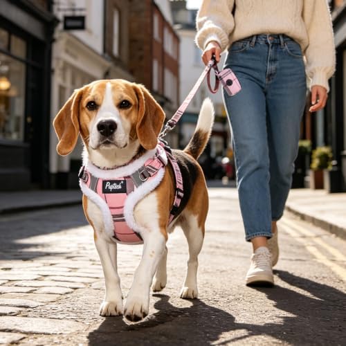 PUPTECK Dog Harness and Leash Set Medium Sized, Step in No Pull Adjustable - Image 6
