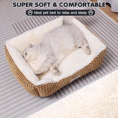Small Dog Bed for Small Dogs, Cat Beds for Indoor Cats Washable, Rectangle Dog - Image 3