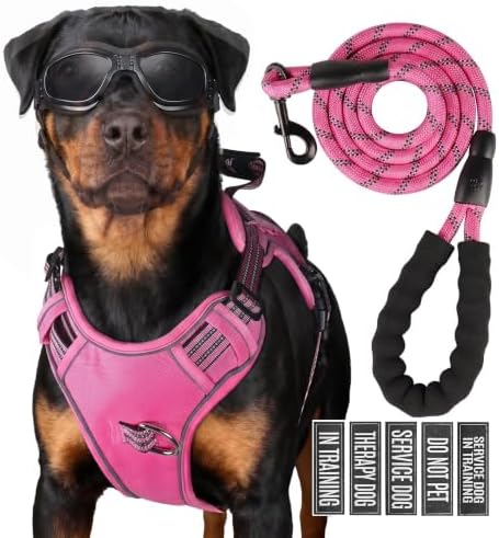 Dog Harness and Leash Set for Medium Dogs, No Pull Tactical Dog Harness by Unknown