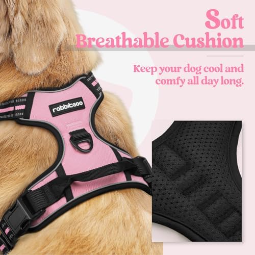 rabbitgoo Dog Harness, No Pull Medium Sized - Image 2