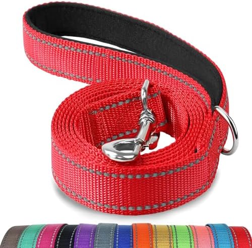 Joytale Reflective Dog Leash for Small Dogs, 4 FT x 3/4" by Joytale
