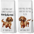 Dachshund Dog Kitchen Towels Set of 2, Funny Dog Kitchen Decor, Dogs Gifts by Mcehtle