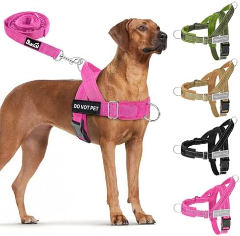 Lukovee No Pull Dog Harness and Leash Set, Soft Padded by Lukovee