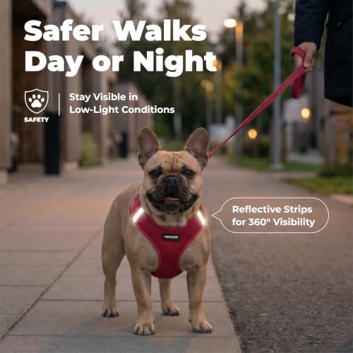 Voyager Step-in Air Dog Vest Harness - Image 4