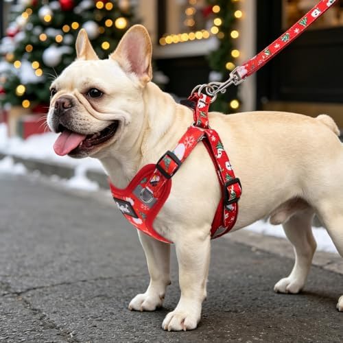PUPTECK Christmas Dog Harness and Leash Set Small Sized, Step in No Pull - Image 5