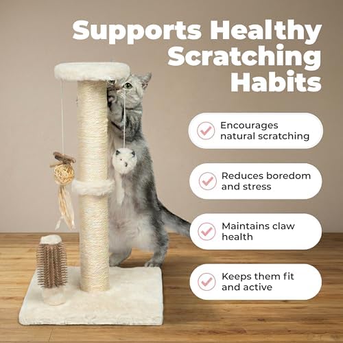 Best Pet Supplies Catify Cat Scratching Post - Image 4