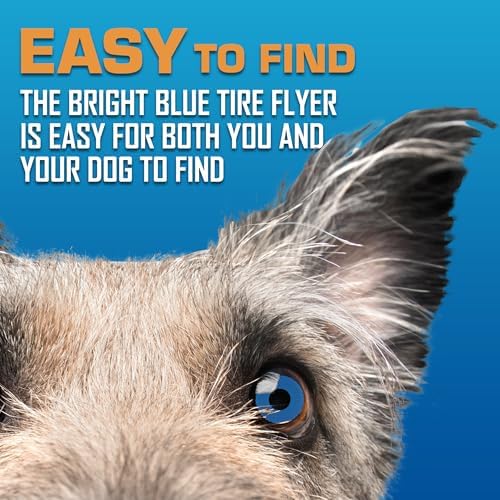 Nerf Dog Tire Flyer Outdoor Dog Toy, 10 Inch Flying Disc Dog Fetch Toy - Image 6