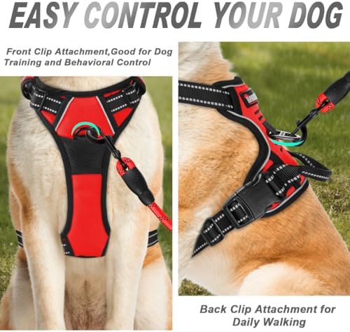 BARKBAY Dog Harness No Pull for Small Sized Dog Front Back Clips, Dog Vest - Image 2