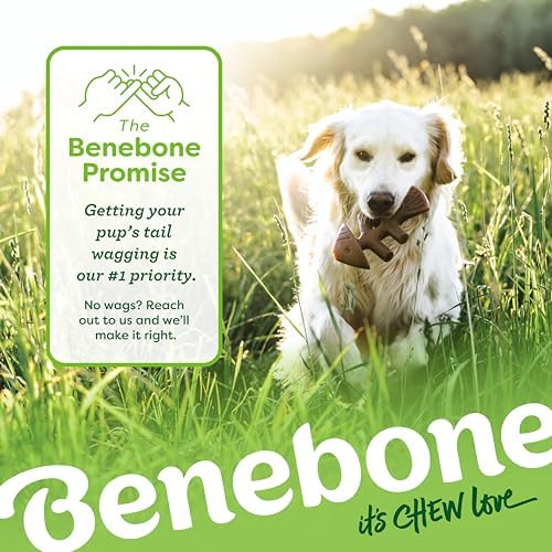 Benebone Medium 4-Pack Dog Toys - Image 7