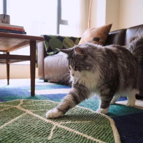 Sisal Botanical Leaf Cat Wall Scratcher - Image 6