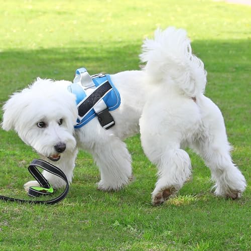Bolux Dog Harness, No-Pull Reflective Dog Vest, Breathable Adjustable Pet - Image 6