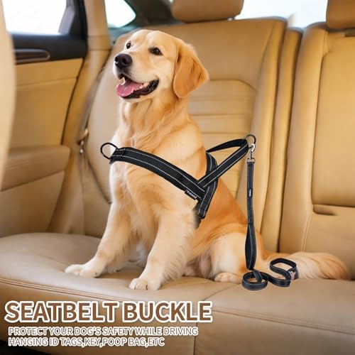 No Pull Dog Harness & 5FT Leash Set - Image 6
