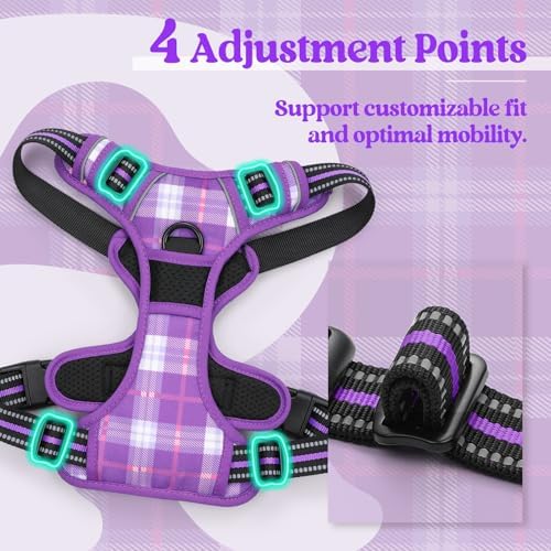 rabbitgoo Dog Harness, No Pull Medium Sized - Image 4