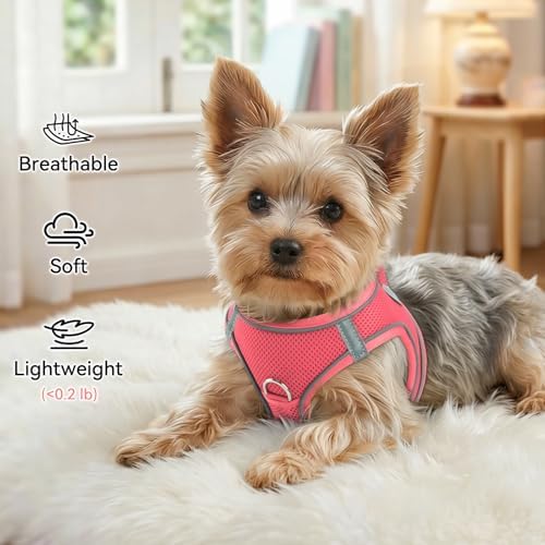 Joytale Step-in Dog Harness, Soft Breathable Mesh - Image 4