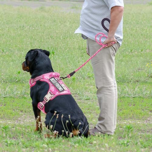 Beebiepet Tactical No Pull Dog Harness - Image 3
