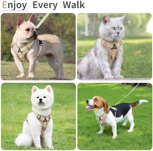 Dog Harness Small Sized Dog Pet Vest - Image 2