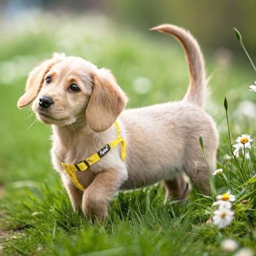 PUPTECK No Pull Dog Harness Small Sized Step-in Adjustable Puppy Vest - Image 5