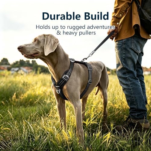 No Pull Dog Vest Harness Large Medium Small Sized Dog Friendly - Image 7