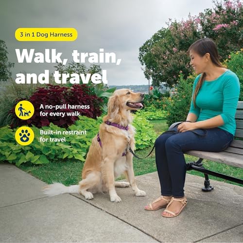 PetSafe Easy Walk 3 in 1 No Pull Dog Harness, Plum Purple - Image 2