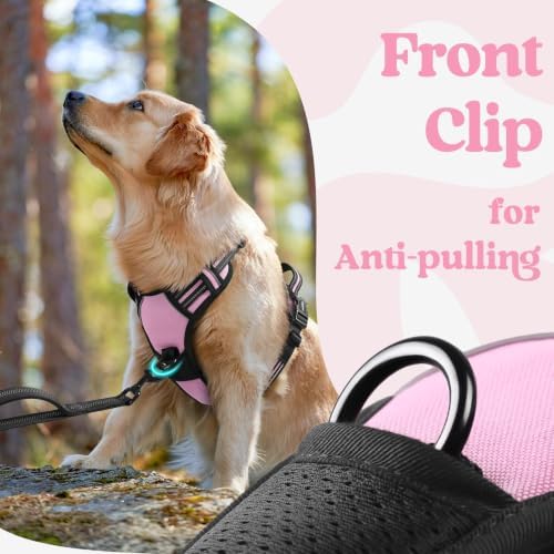 rabbitgoo Dog Harness for Large, Updated Easy On & Off - Image 6