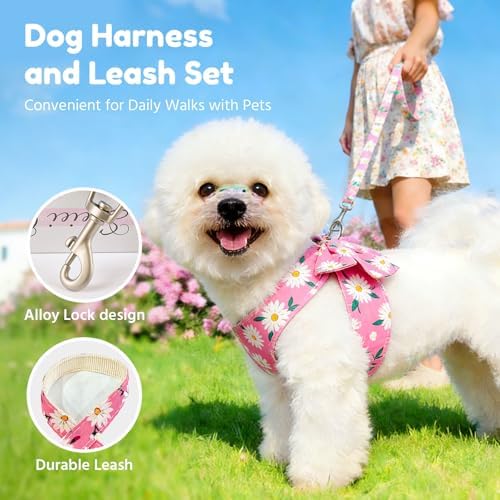 BAEJMJK Dog Harness and Leash Set - Image 6