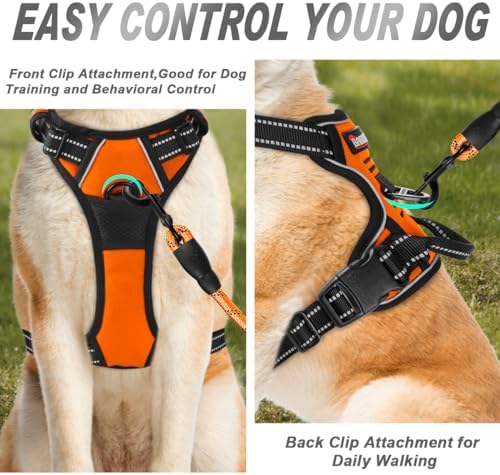 BARKBAY Dog Harness No Pull for Small Sized Dog Front Back Clips, Dog Vest - Image 2