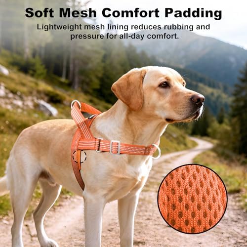No Pull Dog Harness with Handle, Adjustable Soft Mesh Padded Vest - Image 4