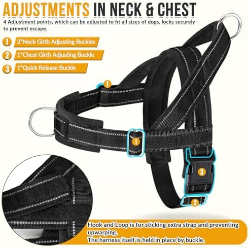 SlowTon No Pull Dog Harness and Leash Set - Image 5