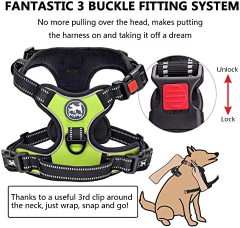 PoyPet No Pull Dog Harness Large - Image 2