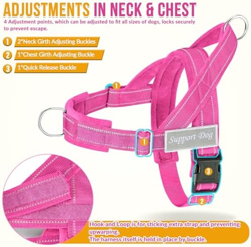 Lukovee No Pull Dog Harness and Leash Set, Soft Padded - Image 3
