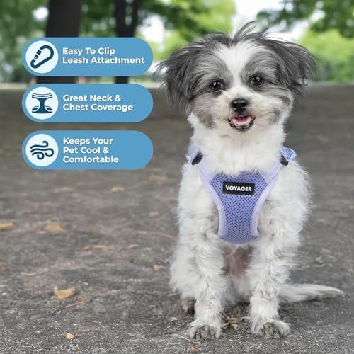 Voyager Step-in Flex Adjustable Dog Harness - Image 2