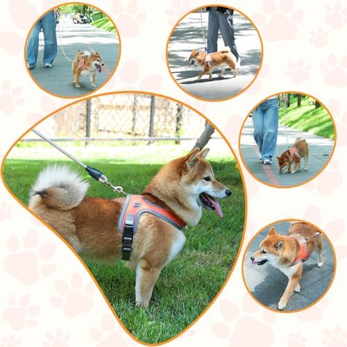 Dog Harness and Leash Set, No Pull Saddle Style Pet Harness, Breathable Mesh - Image 6