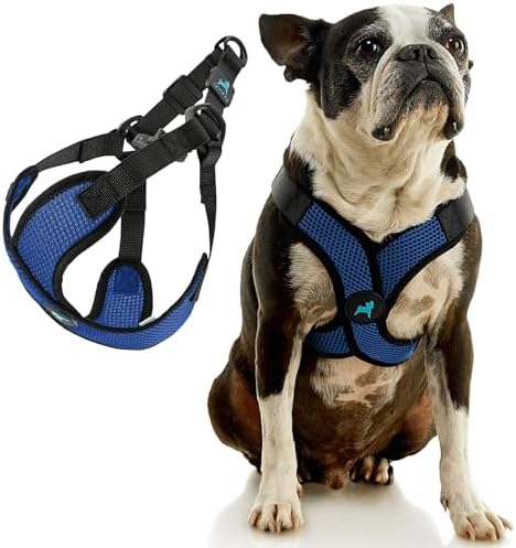 Gooby Comfort X Step-in Lite Harness, Choke-Free - Image 3