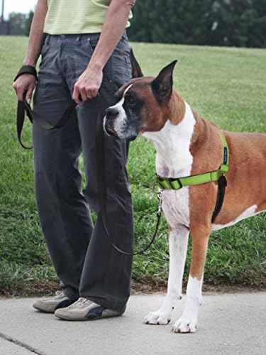 PetSafe Easy Walk Deluxe Dog Harness, No Pull Dog Harness – Perfect - Image 2
