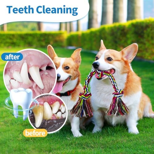 WDZZHOT Dog Rope Toys, Dog Chew Toy - Image 4