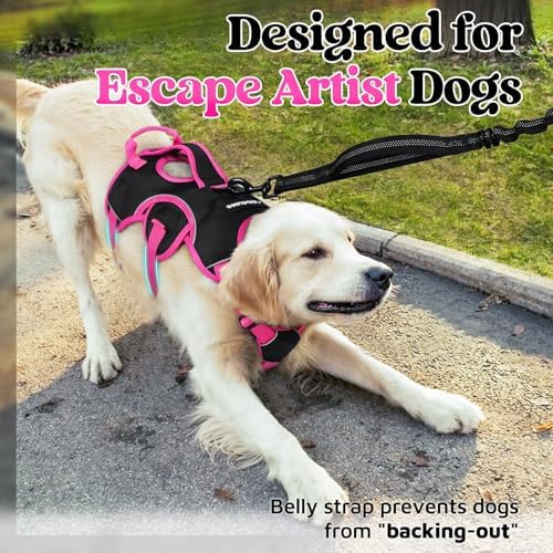 rabbitgoo Escape Proof Dog Harness - Image 2