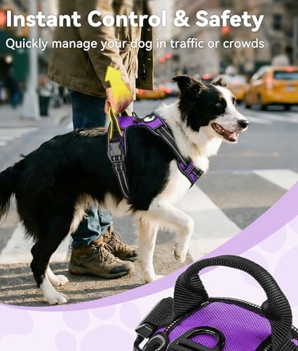 Joytale No Pull Dog Harness for Small Dogs, Front Clip - Image 3
