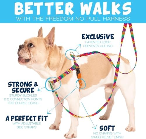 2 Hounds Design Freedom No Pull Dog Harness, 1 inch MD - Image 2