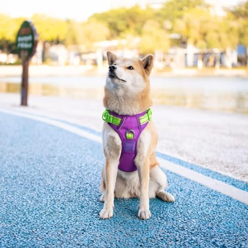 PHOEPET No Pull Dog Harness, Unique Colors Reflective Adjustable Dog Vest - Image 6
