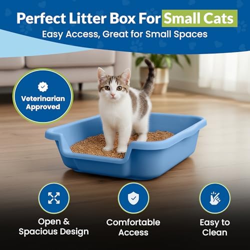 KittyGoHere Senior Cat Litter Box Small - Image 2
