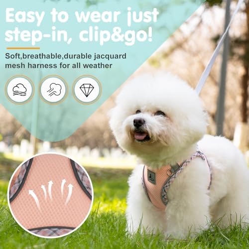 Dog Harness & Leash Set - Image 2
