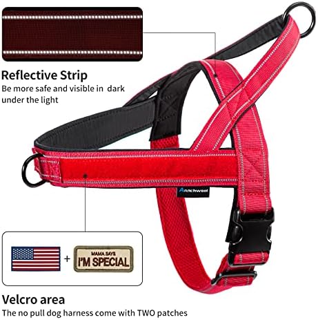 Annchwool No Pull Dog Harness+5 Ft Leash - Image 2