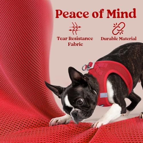 rabbitgoo Step-in Small Dog Harness, Puppy Vest - Image 4
