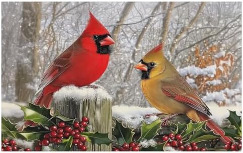 Giwawa Winter Birds Bath Rug Red Berry Washable Bathroom Mat 20x32 Inch Indoor by Giwawa