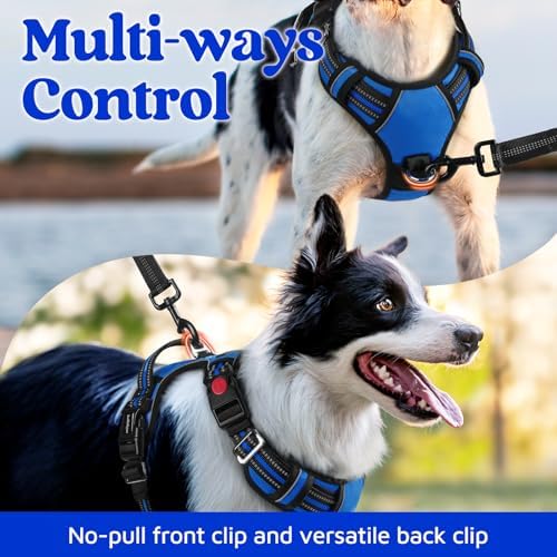 rabbitgoo Dog Harness Small Sized, No Pull 3 Buckles Easy On & Off - Image 3