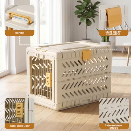 Collapsible Dog Crate for Large/Medium Dogs - Image 4