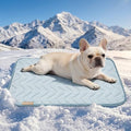 PPOLCA Waterproof Cooling Mat for Small Dogs 18x24 by PPOLCA
