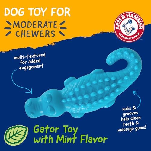 Arm & Hammer Nubbies Gator Dog Dental Chew Toy, Mint Flavor - Image 2
