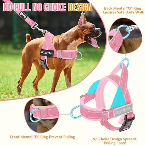 Lukovee No Pull Dog Harness and Leash Set, Soft Padded - Image 2