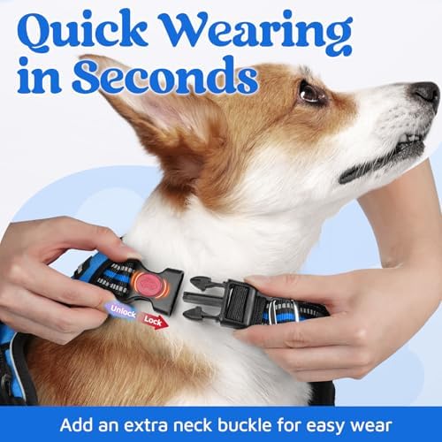 rabbitgoo Dog Harness Medium Sized, No Pull 3 Buckles Easy On & Off - Image 2